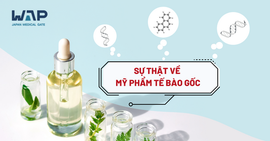 SỰ THẬT VỀ MỸ PHẨM TẾ BÀO GỐC